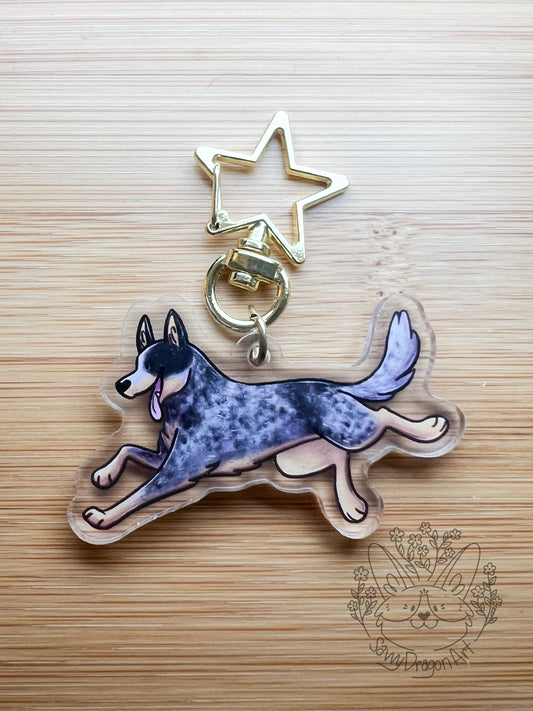 Blue heeler Australian cattle Dog Acrylic Keychain | star clasp vograce kawaii double sided dog lover gift charm chain puppy kid’s birthday