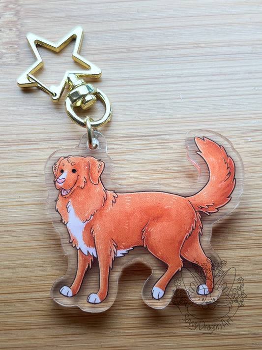 Nova Scotia Duck Tolling Retriever Acrylic Keychain | star clasp vograce kawaii double sided dog lover gift charm nsdtr