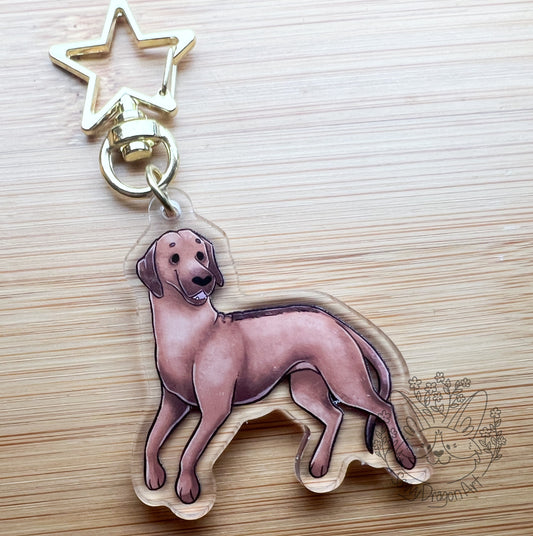 Rhodesian Ridgeback Dog Acrylic Keychain | star clasp vograce kawaii double sided dog lover gift charm ridge